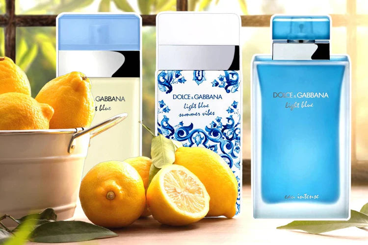 DOLCE & GABBANA